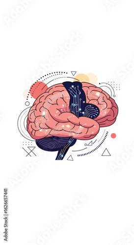 The human brain a marvel of nature's intricate design and functionality