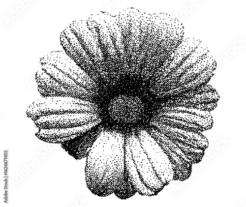Vector illustration of a daisy flower with grainy halftone stipple effect, perfect for grunge, punk, Y2K collage, and vintage dotted retro banner design, artistic experimental texture