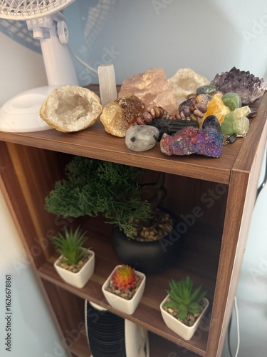 Boho-Inspired Shelf with Crystals and Plants
