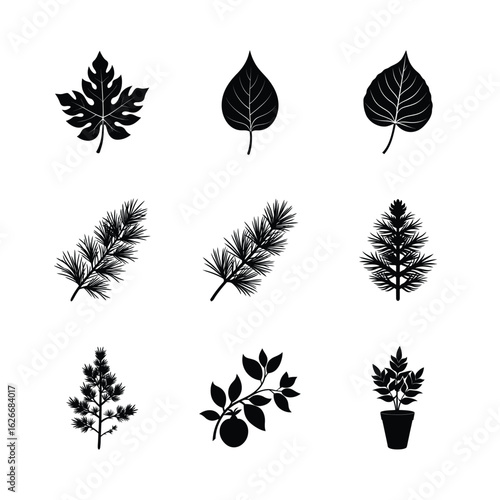 Set of various plant and leaf silhouettes