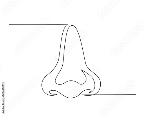 Human nose anatomy outline illustration. Continuous line drawing of human nose
