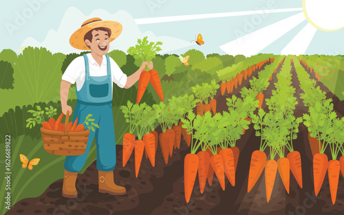 A flat vector illustration of a happy farmer harvesting fresh carrots in a sunny field