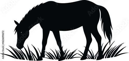 silhouette of a horse grazing peacefully on grass in a calm natural setting