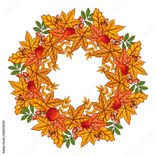 Fall wreath with leaves isolated. Fall  Background. Autumn  wreath Illustration. Fall Flower Design. Fall Botanical Wreath design. Harvest Festival  Frame. Botanical Design for harvest fest