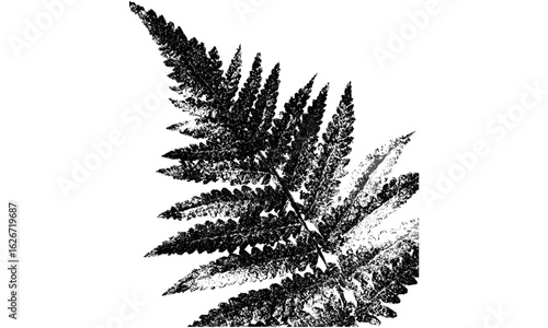 Grunge fern collage design featuring vintage halftone stipple and retro photocopy effect. Y2K punk brutalist vector art for banners, posters, tattoos, music covers, elegant floral textures