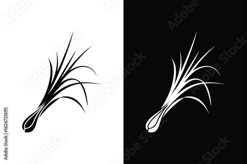 Lemongrass icon vector on White Background ,Vector Art Illustration on white background.