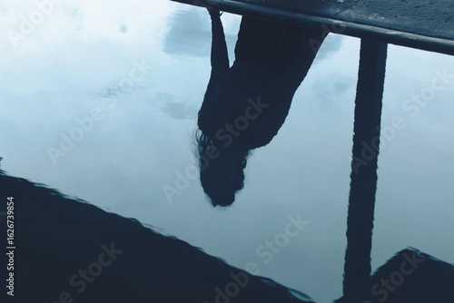 Moody Reflection of Woman in Water with Silhouette Framed by Urban Structure at Dusk