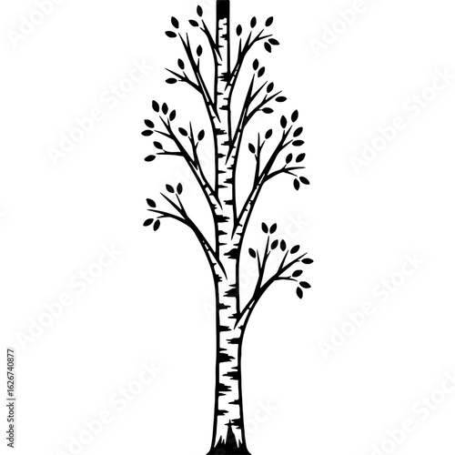 Stylized black and white birch tree illustration. Detailed deciduous plant, forest nature element, minimalist vector art.