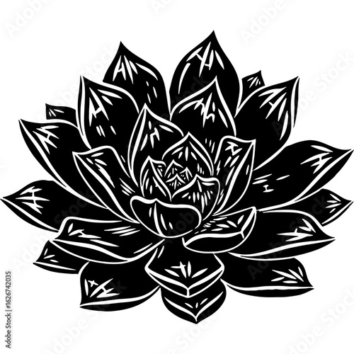 Stylized Black and White Succulent Plant Vector Illustration. Botanical Rosette Graphic for Home Decor and Garden Design.