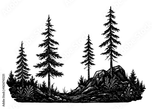 Simple Style Mountain Forest with Tall Pine Trees Rocks Plants Black and White Outline Line Art Drawing