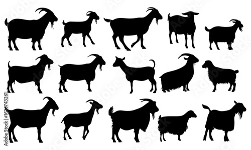 Vector goat breed silhouettes in black and white, including Alpine, Boer, Nubian, Pygmy, Saanen, Angora, Oberhasli, Toggenburg. Perfect for farmers, goat enthusiasts, animal agriculture