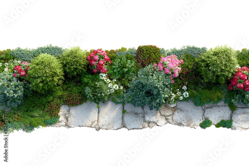 High-angle view of a meticulously landscaped garden border.  Variety of flowering plants and shrubs,  with a stone path