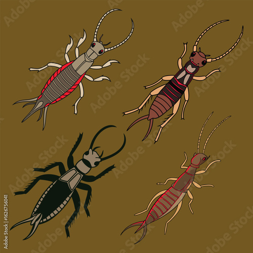 Earwig Vector