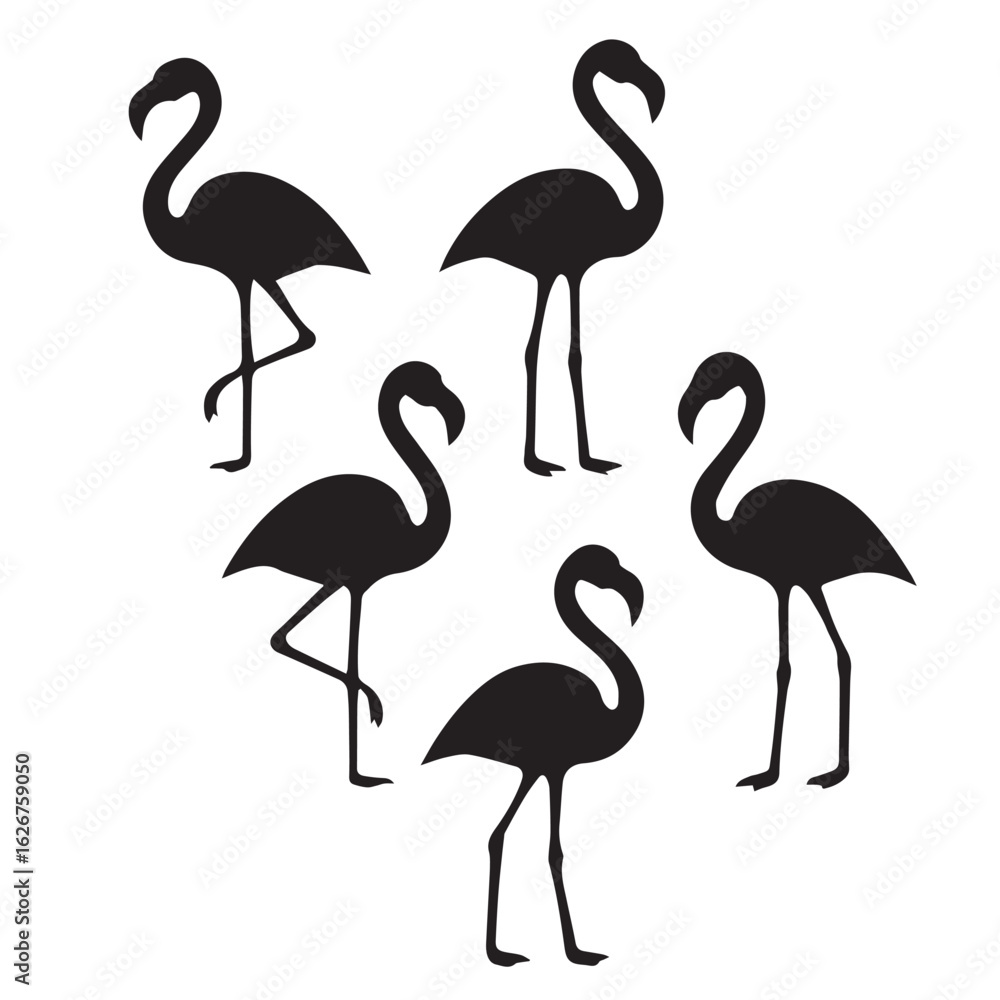 Obraz premium Set of flamingo silhouettes in various poses vector illustration