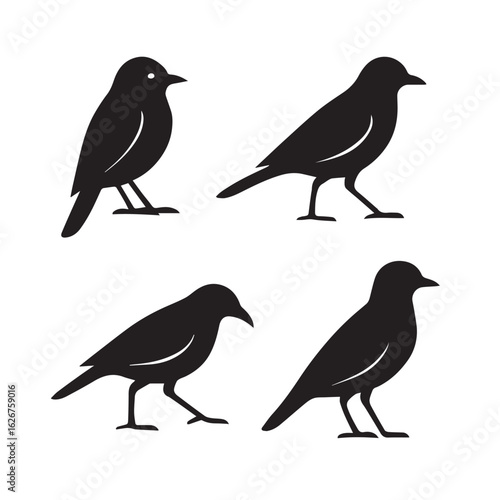 Silhouettes of various birds perched and flying in nature illustration