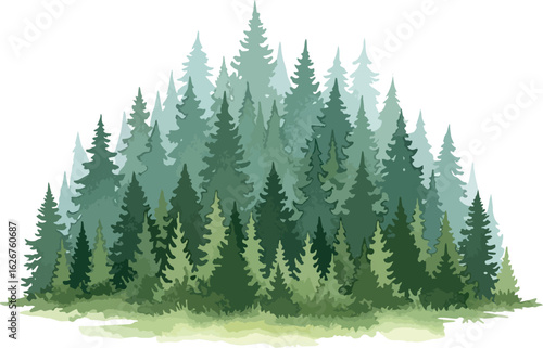 water colour illustration of a forest in isolated on white background