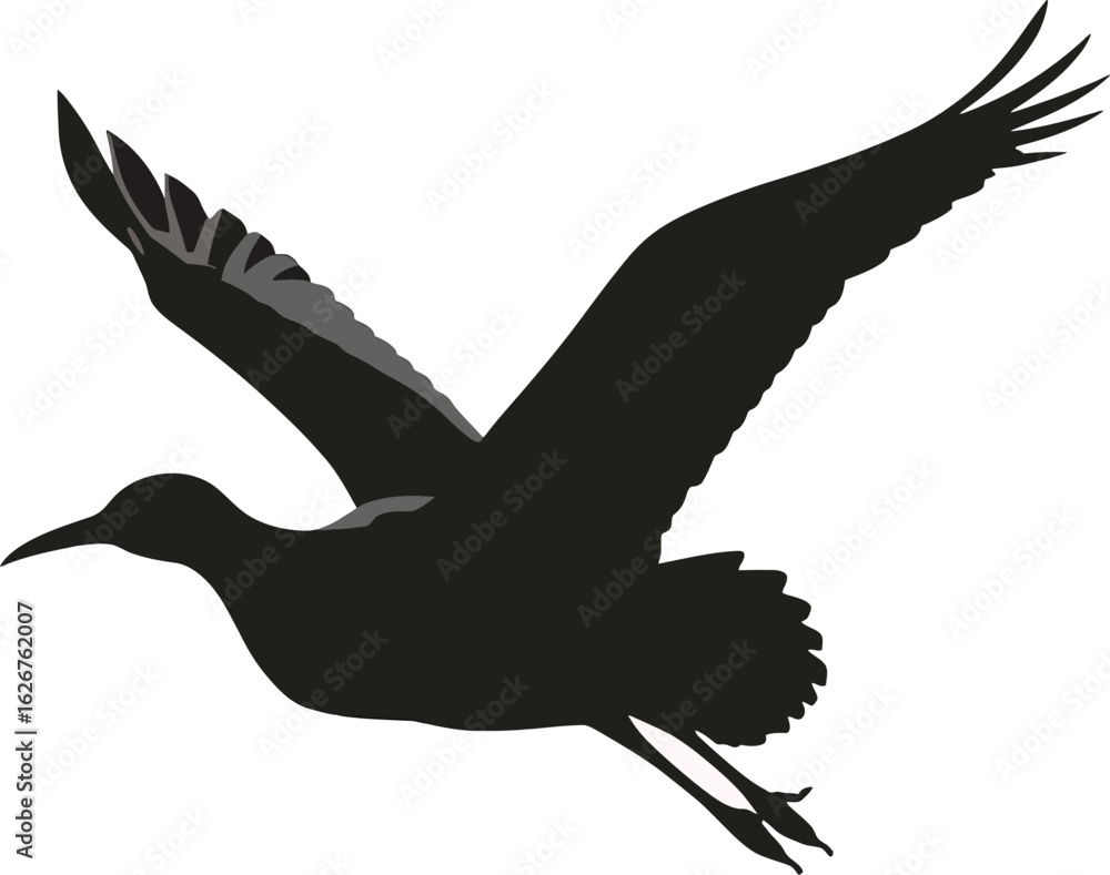 Obraz premium Vector art of silhouette of a bird in flight with its wings spread against a light background creating a simple and elegant design