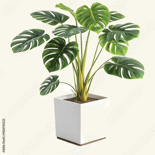 Small potted houseplant with green leaves on a white background