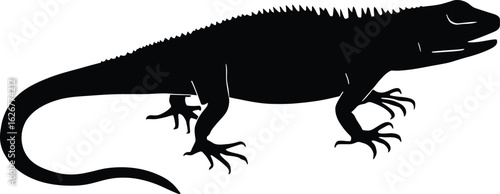 Vector art of silhouette of a tropical iguana reptile standing in profile with its textured skin and spiky back scales