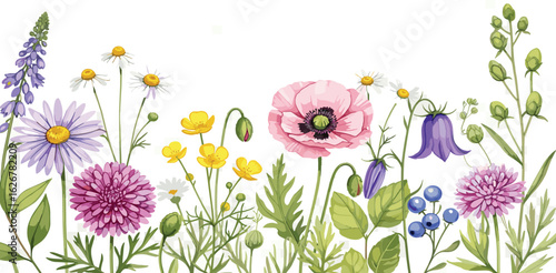 Wildflowers, green wild plants and flying butterfly, floral seamless pattern with colorful flowers, watercolor horizontal border isolated on white background