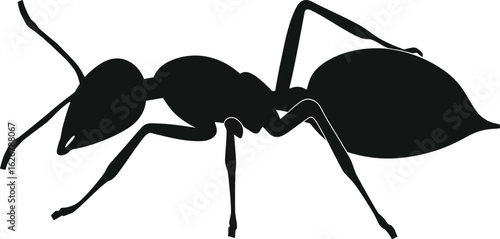 Vector art of silhouette of an ant with its distinctive body structure showcasing its head thorax and abdomen and six legs