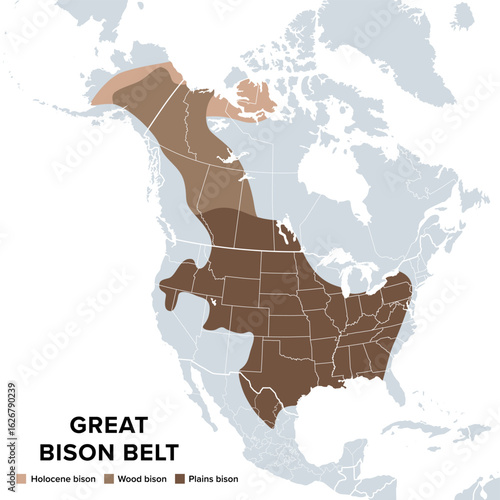 Great bison belt of North America, political map. Original distribution of commonly known American buffalo, with the two subspecies plains and wood bison, while the Holocene bison is an earlier form.
