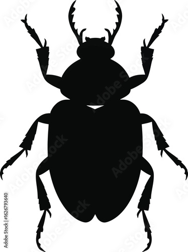 Vector art of silhouette of a beetle on a plain background showcasing its unique shape and intricate details of this fascinating insect