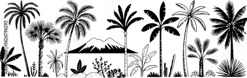 Black and white tropical landscape with palm trees and mountain vector