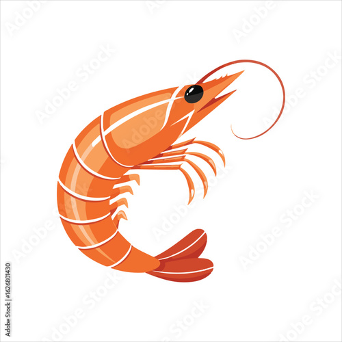 shrimp, seafood, food, vector illustration