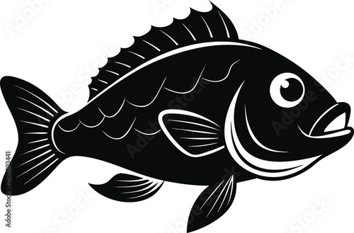 fish on a white background