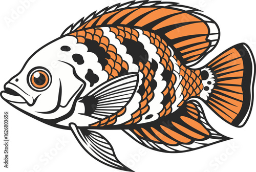 A highly realistic Oscar fish side view detailed
