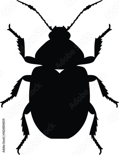 Vector art of silhouette of a beetle isolated on a plain background representing wildlife and nature in a simple design