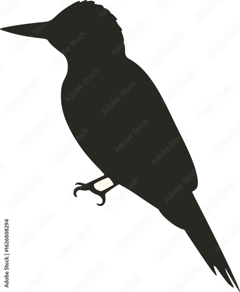 Fototapeta premium Vector art of silhouette of a bird perched on a branch creating a simple yet elegant nature inspired design element