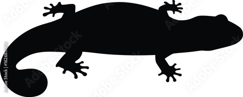 Vector art of a black silhouette of a lizard is isolated on a plain background creating a simple and modern vector illustration