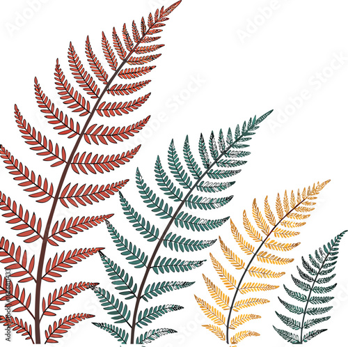 Colorful Fern Border with Layered Fronds in Flat Style