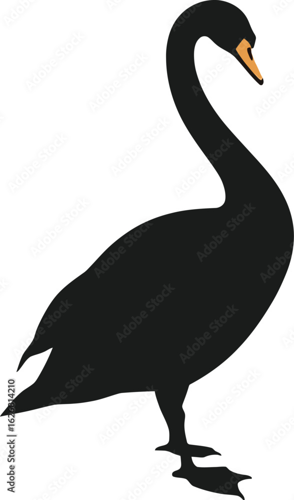 Fototapeta premium Vector art of elegant black swan illustration standing gracefully with its long neck in a simple vector design