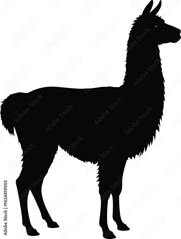 Fototapeta premium Vector art of silhouette of a llama standing gracefully in a simple black design perfect for logos and graphics