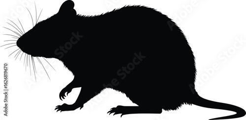 Vector art of silhouette of a rat against a plain background creating a simple yet striking image of the rodent