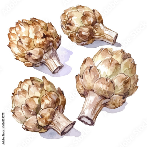 Painted in watercolor, this artistic Jerusalem artichoke set features a clean composition, hand-drawn with elegance, isolated on white, vector EPS. vectorized