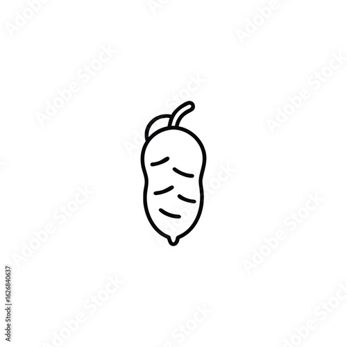 A chikoo Fruits icon line art vector illustration.