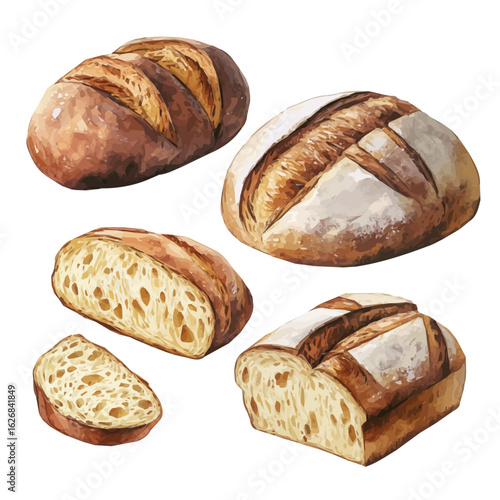 High-quality Hand-drawn illustration of sourdough bread in watercolor style, soft artistic elements, isolated on a clean white background, high-quality EPS vector. illustration
