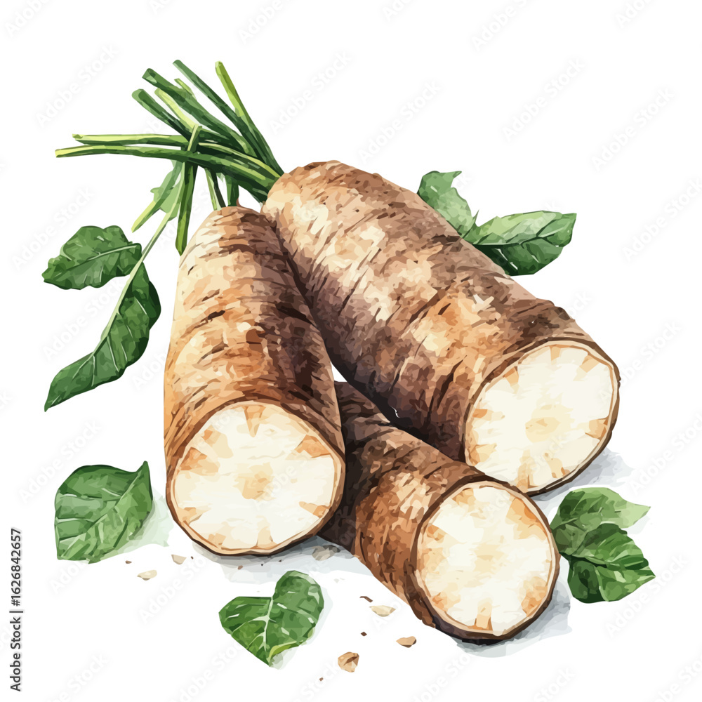 Ταπετσαρία Cute Watercolor illustration of wild yam root, hand-crafted with delicate brush textures, minimal and isolated layout, white background, EPS format
