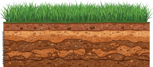 Cross section soil and grass layer illustration, underground dirt texture, land stratification diagram, geological earth cutaway view, cad drawing flat vector illustration