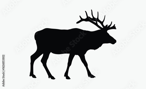 Elk silhouette, antler animal, forest wildlife, A vector silhouette of a large bull elk bugling