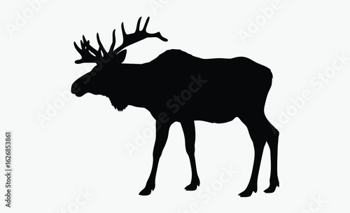 Elk silhouette, antler animal, forest wildlife, A vector silhouette of a large bull elk bugling