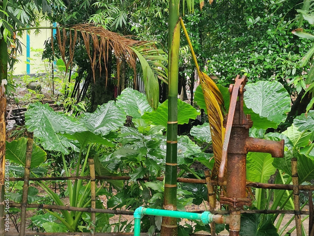 Fototapeta premium Fresh green foliage showcasing detailed textures of tropical plant leaves, exuding a fresh and natural atmosphere. Perfect for nature, botany,