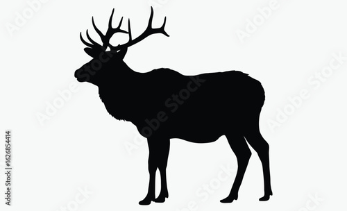 Elk silhouette, antler animal, forest wildlife, A vector silhouette of a large bull elk bugling
