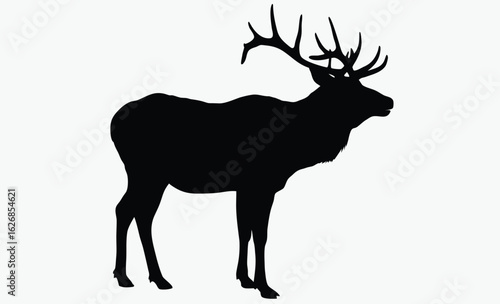 Elk silhouette, antler animal, forest wildlife, A vector silhouette of a large bull elk bugling