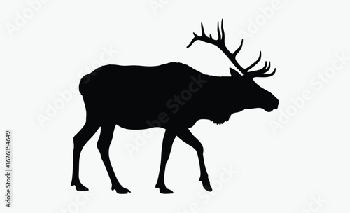 Elk silhouette, antler animal, forest wildlife, A vector silhouette of a large bull elk bugling
