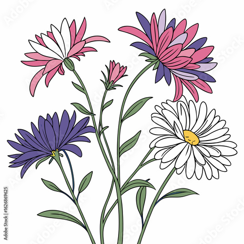 pink and white aster honeysuckle purple stokes